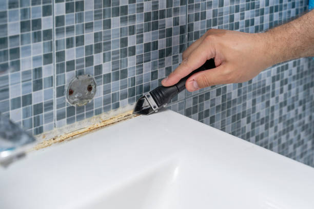 Best Mold Damage Repair  in East Mckeesport, PA